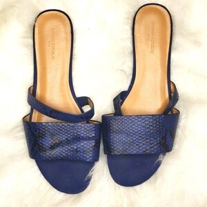 Banana Republic Double Strap Leather Slide 8.5 Blue Multi